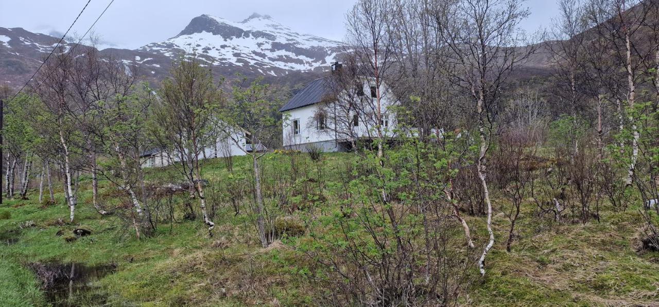 Pilan Lodge Lofoten Vestpollen 외부 사진