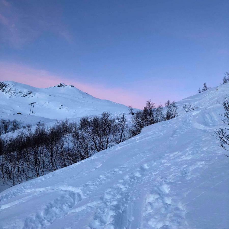 Pilan Lodge Lofoten Vestpollen 외부 사진