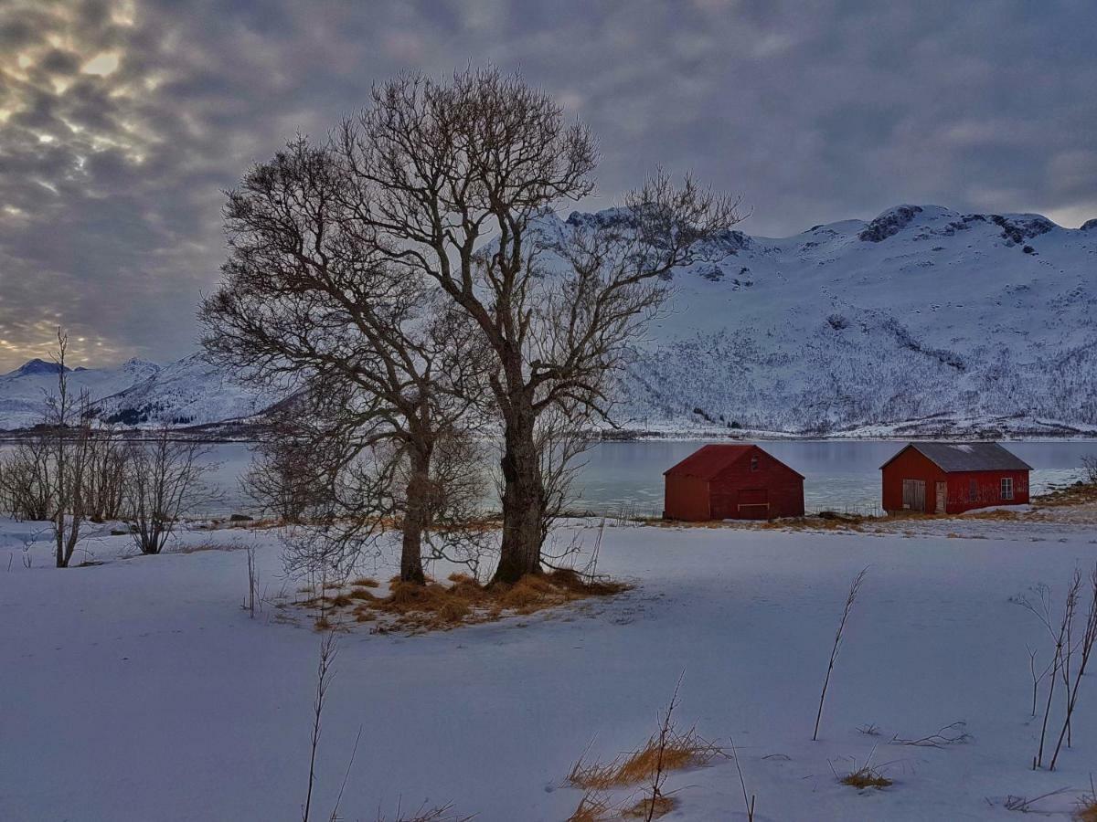 Pilan Lodge Lofoten Vestpollen 외부 사진