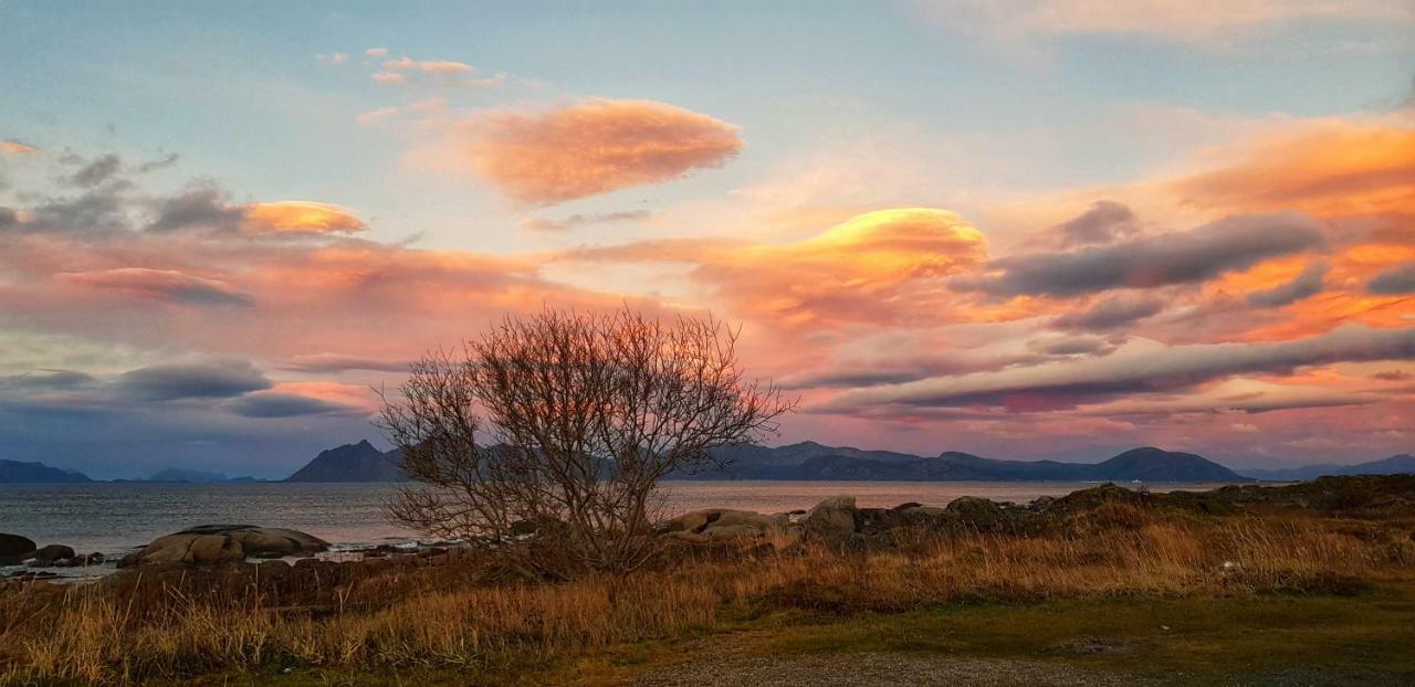 Pilan Lodge Lofoten Vestpollen 외부 사진