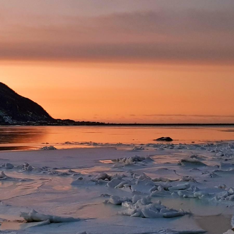 Pilan Lodge Lofoten Vestpollen 외부 사진